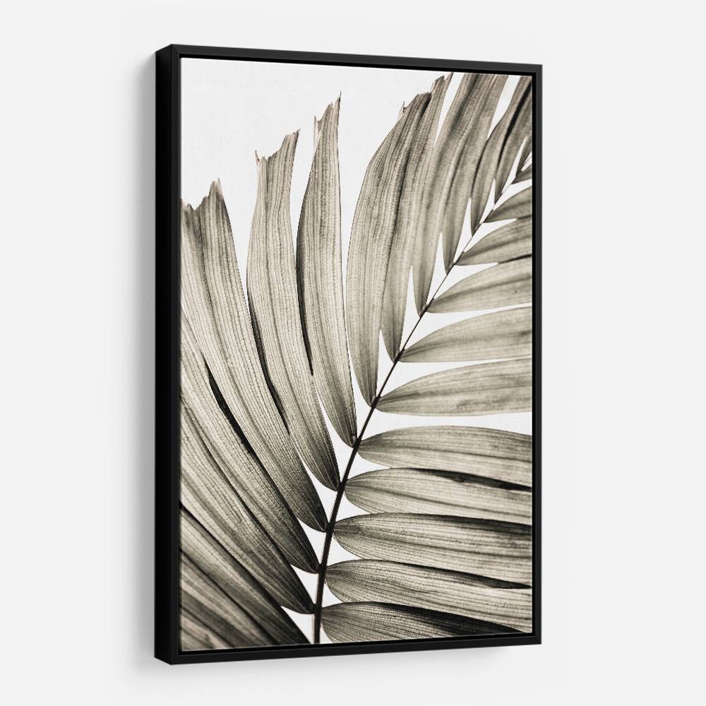 Palm Leaves 22 Wall Art Palm Leaves 22 Wall Art