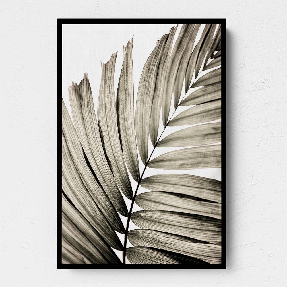 Palm Leaves 22 Wall Art Palm Leaves 22 Wall Art