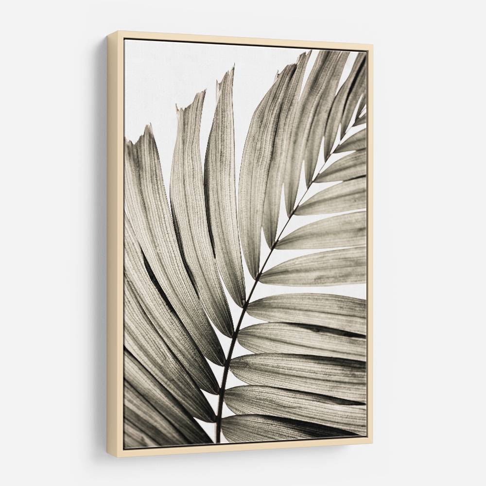 Palm Leaves 22 Wall Art Palm Leaves 22 Wall Art