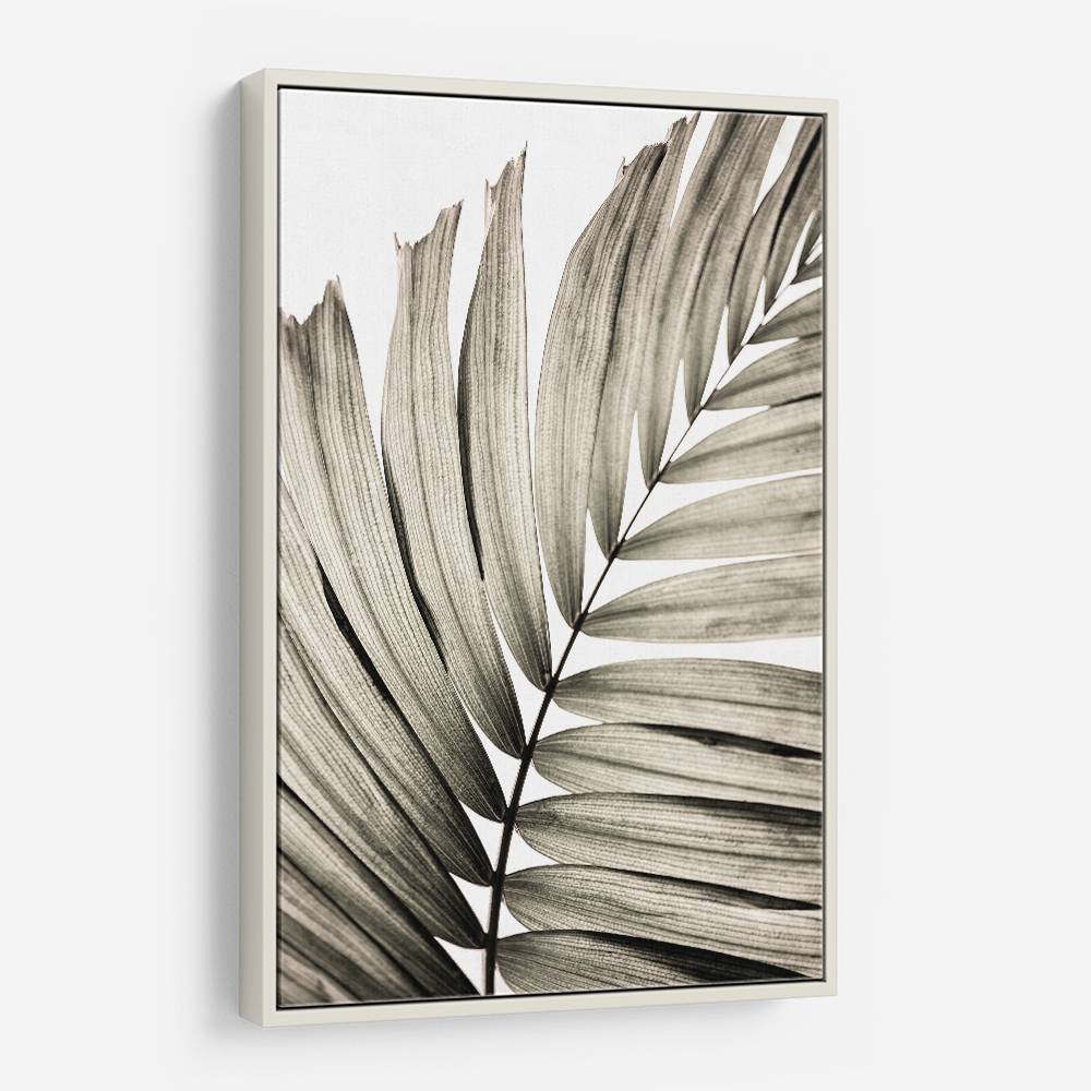 Palm Leaves 22 Wall Art Palm Leaves 22 Wall Art