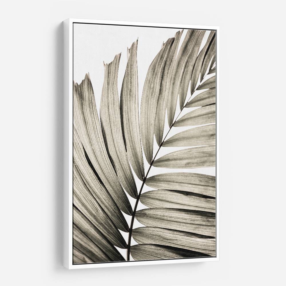 Palm Leaves 22 Wall Art Palm Leaves 22 Wall Art
