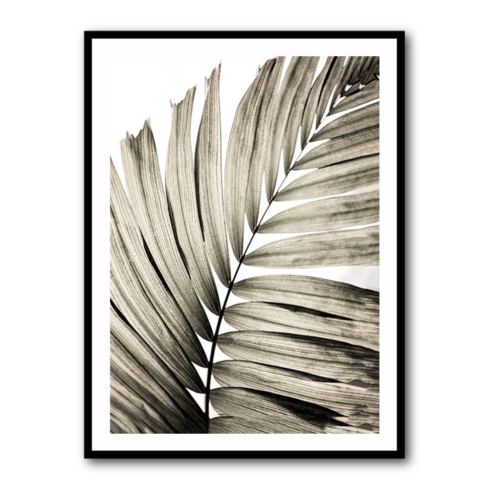 Palm Leaves 22 Wall Art Palm Leaves 22 Wall Art