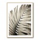 Palm Leaves 22 Wall Art Palm Leaves 22 Wall Art