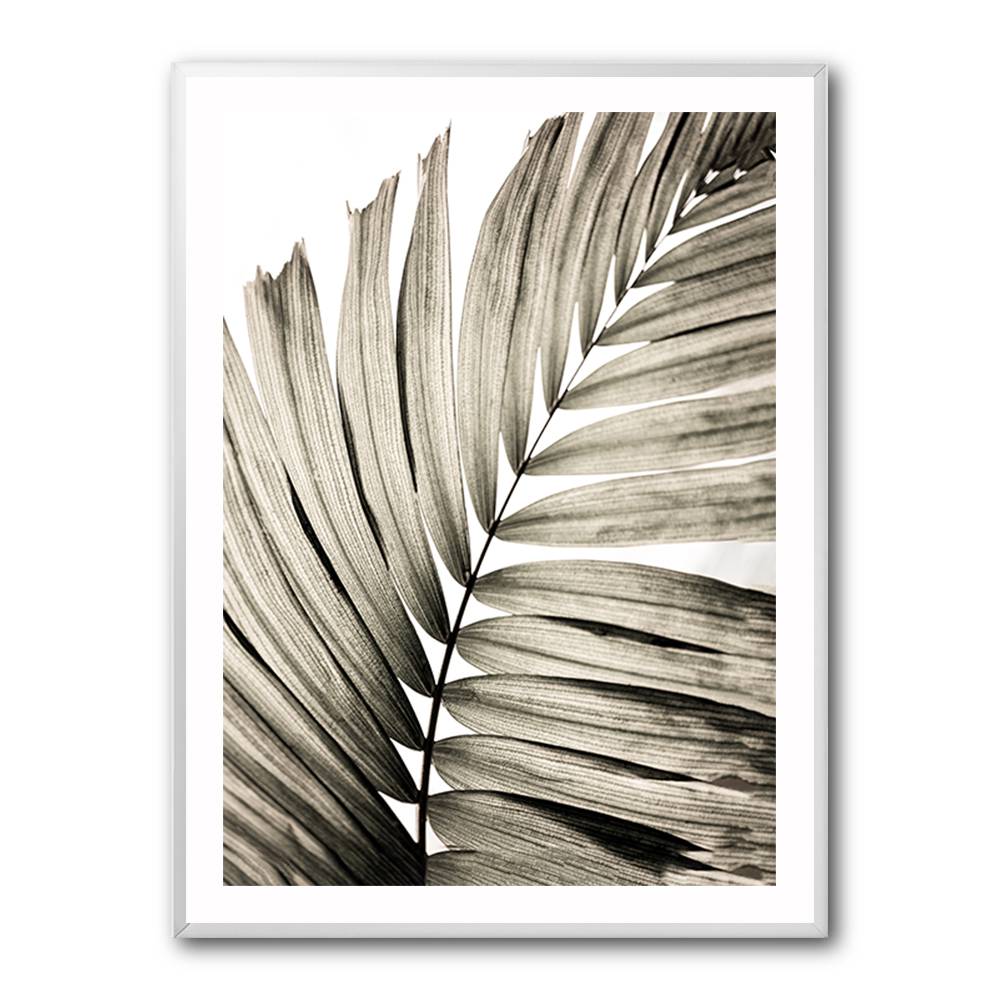 Palm Leaves 22 Wall Art Palm Leaves 22 Wall Art