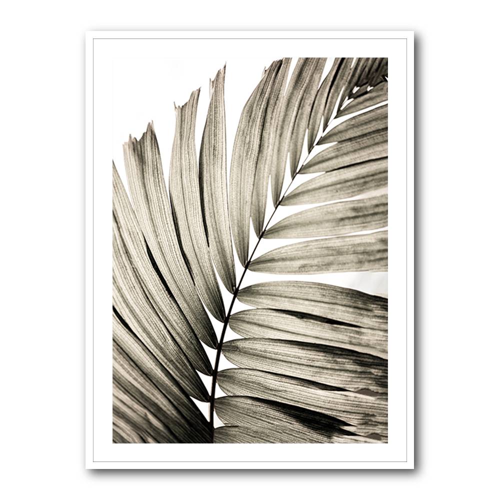 Palm Leaves 22 Wall Art Palm Leaves 22 Wall Art