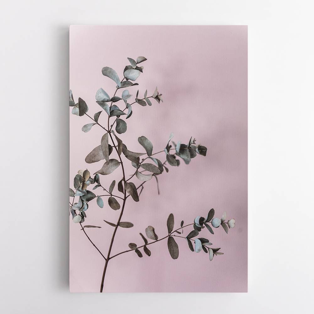Eucalyptus 12 Wall Art Eucalyptus 12 Wall Art
