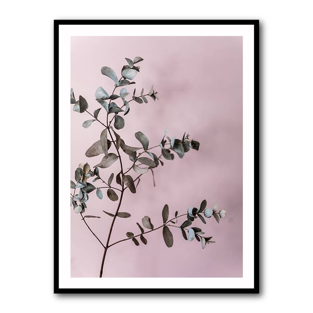 Eucalyptus 12 Wall Art Eucalyptus 12 Wall Art