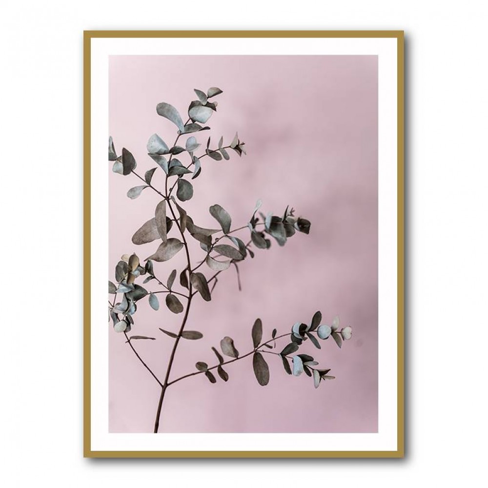 Eucalyptus 12 Wall Art Eucalyptus 12 Wall Art