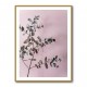 Eucalyptus 12 Wall Art Eucalyptus 12 Wall Art