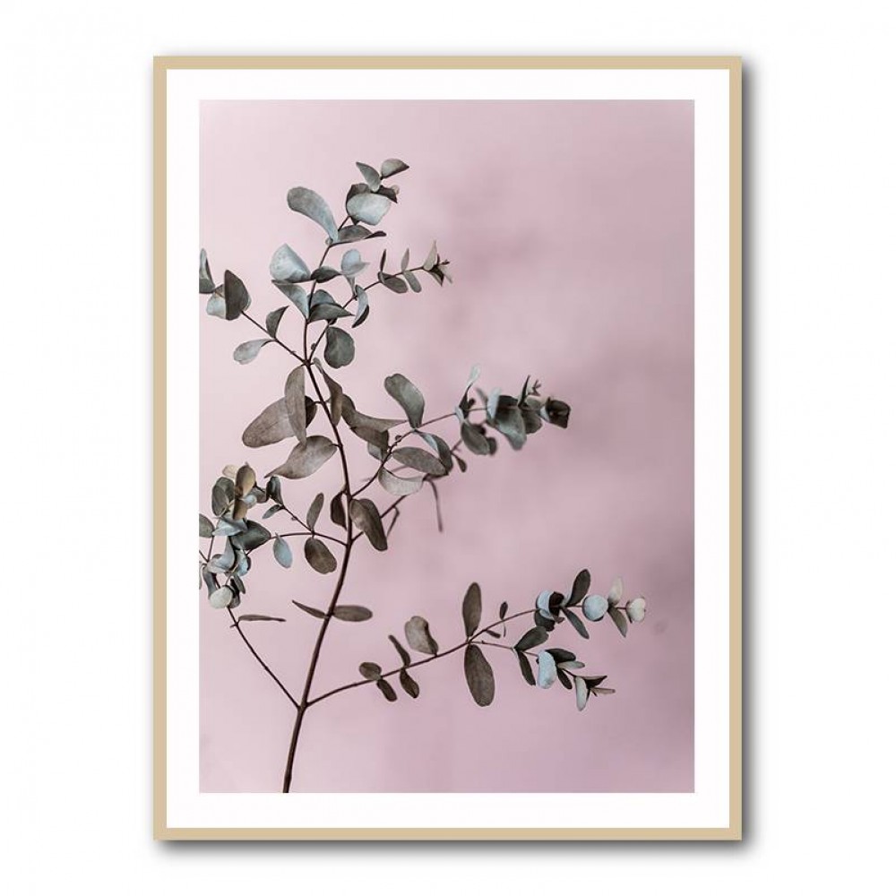 Eucalyptus 12 Wall Art Eucalyptus 12 Wall Art