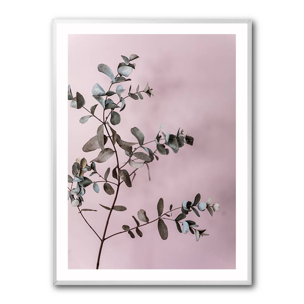 Eucalyptus 12 Wall Art Eucalyptus 12 Wall Art