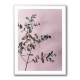 Eucalyptus 12 Wall Art Eucalyptus 12 Wall Art