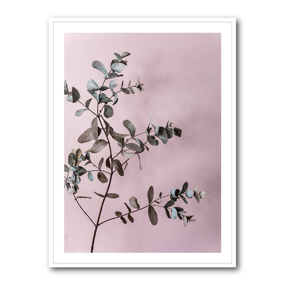 Eucalyptus 12 Wall Art Eucalyptus 12 Wall Art