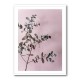 Eucalyptus 12 Wall Art Eucalyptus 12 Wall Art