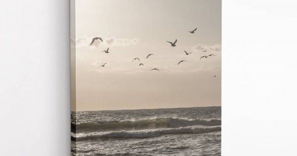 Birds And The Sea 3 Wall Art