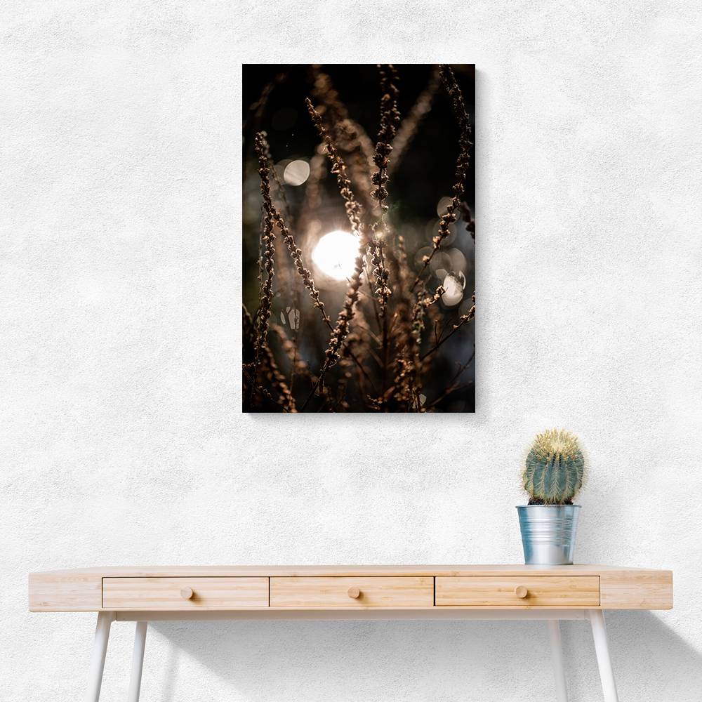Natural Sparkle 2 Wall Art Natural Sparkle 2 Wall Art