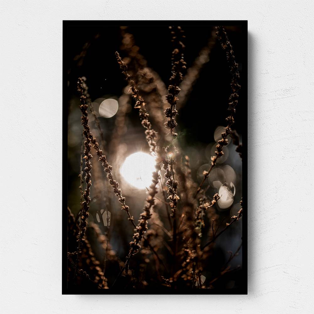 Natural Sparkle 2 Wall Art Natural Sparkle 2 Wall Art