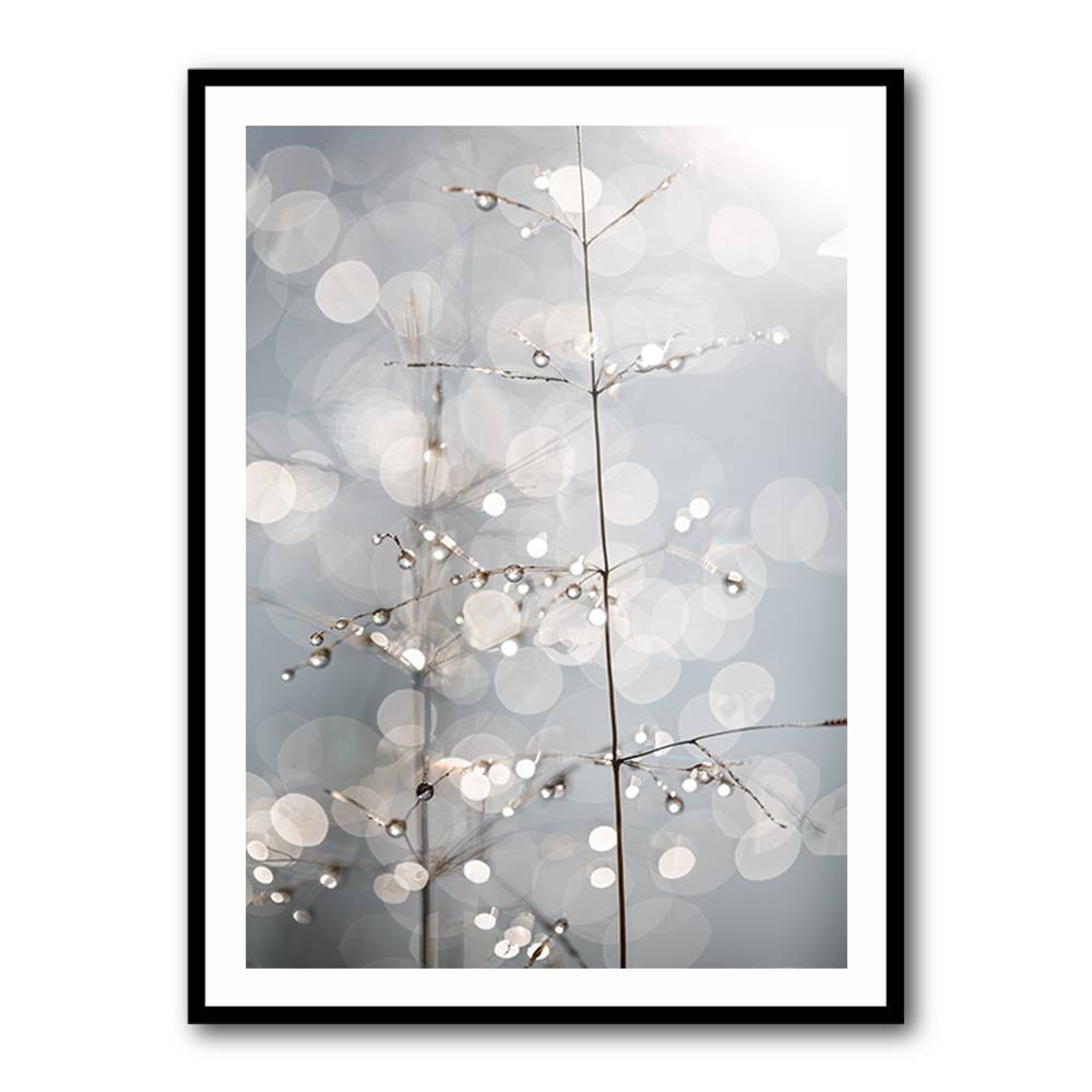 Natural Sparkle Wall Art Natural Sparkle Wall Art