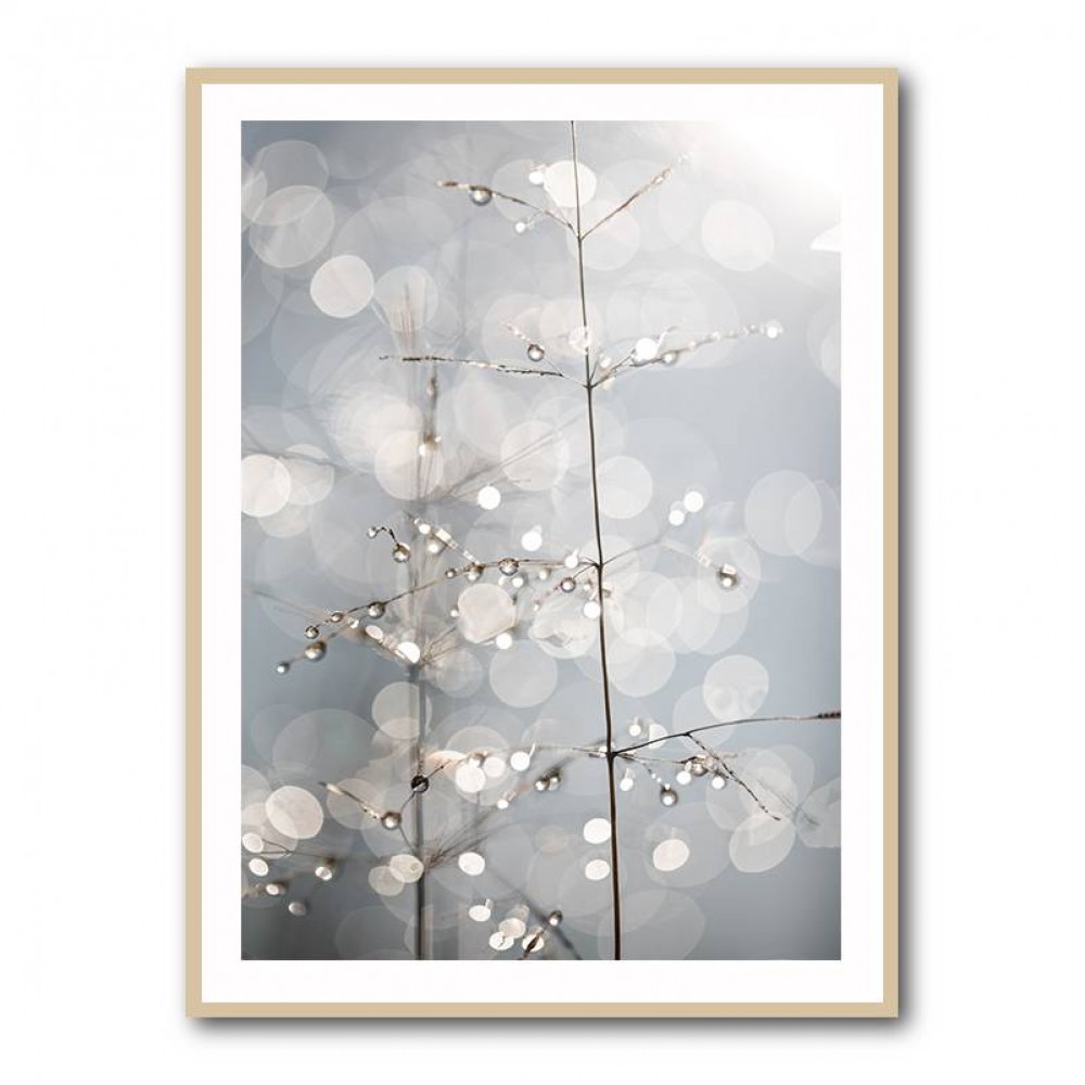 Natural Sparkle Wall Art Natural Sparkle Wall Art