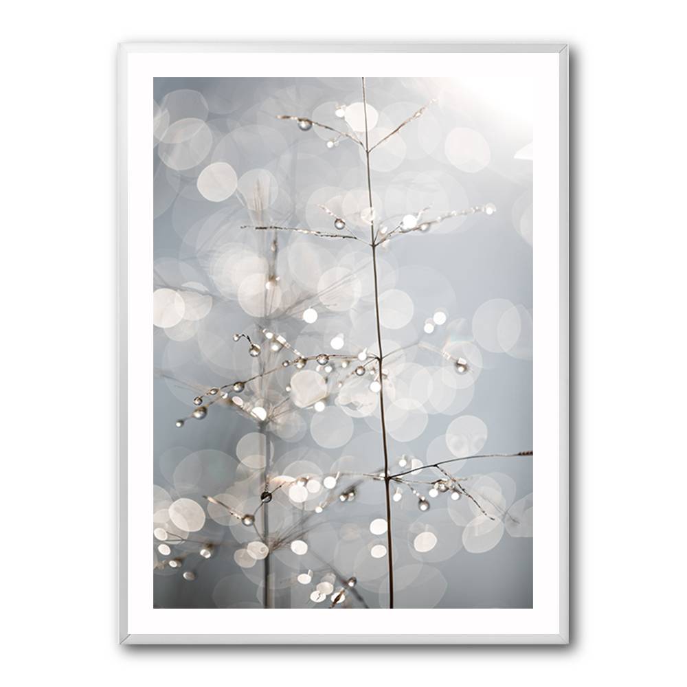 Natural Sparkle Wall Art Natural Sparkle Wall Art