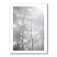 Natural Sparkle Wall Art Natural Sparkle Wall Art