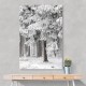 Winter Forest 2 Wall Art Winter Forest 2 Wall Art