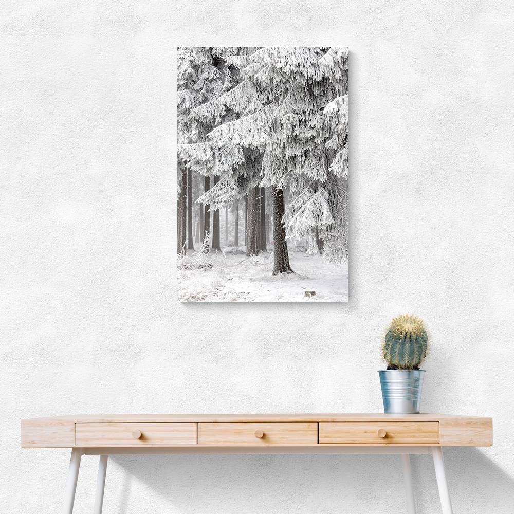 Winter Forest 2 Wall Art Winter Forest 2 Wall Art
