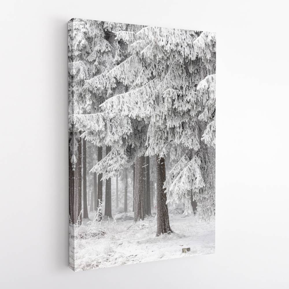 Winter Forest 2 Wall Art Winter Forest 2 Wall Art