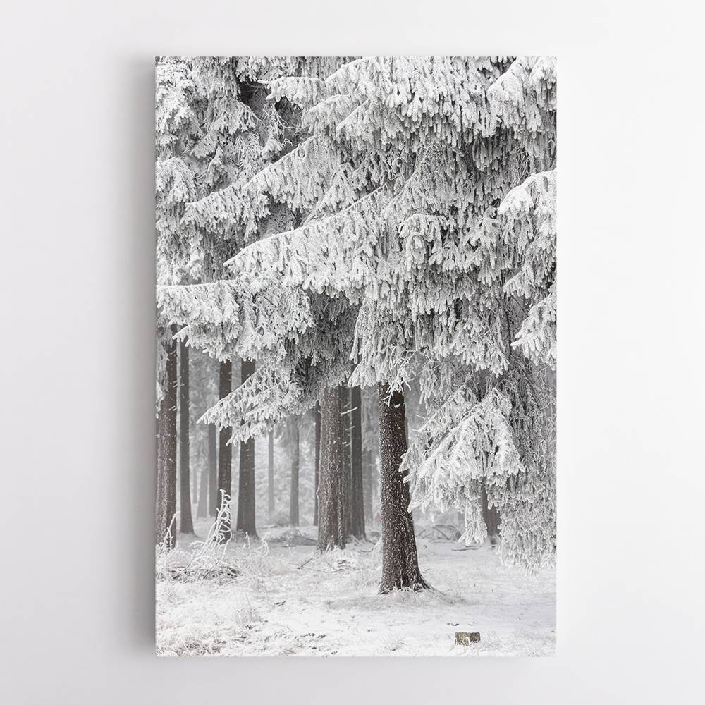 Winter Forest 2 Wall Art Winter Forest 2 Wall Art
