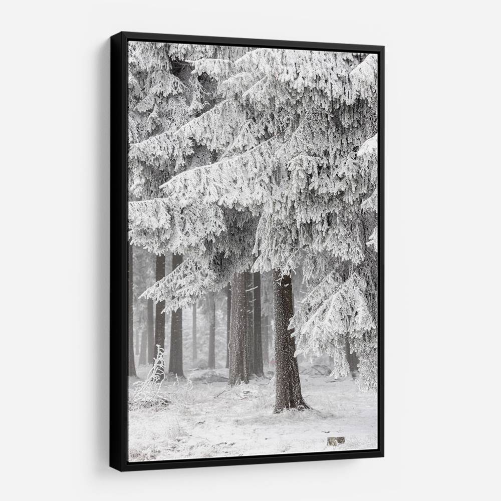 Winter Forest 2 Wall Art Winter Forest 2 Wall Art