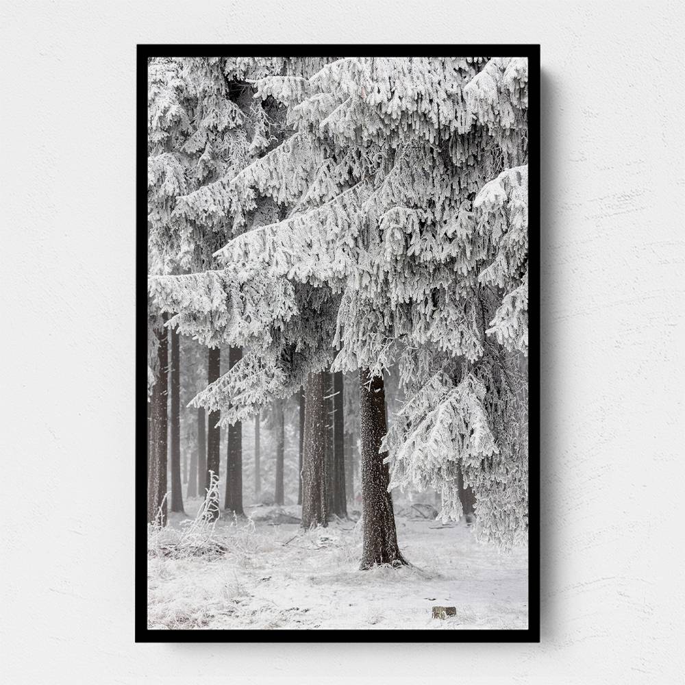 Winter Forest 2 Wall Art Winter Forest 2 Wall Art