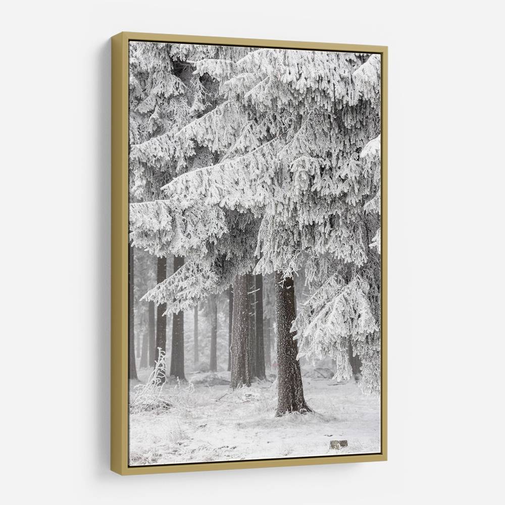 Winter Forest 2 Wall Art Winter Forest 2 Wall Art