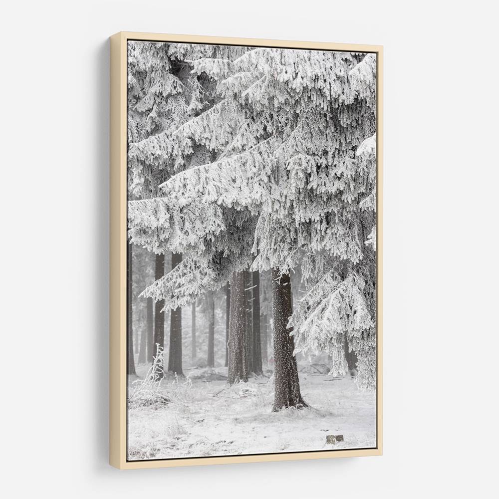 Winter Forest 2 Wall Art Winter Forest 2 Wall Art