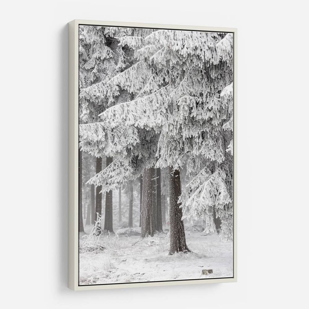 Winter Forest 2 Wall Art Winter Forest 2 Wall Art