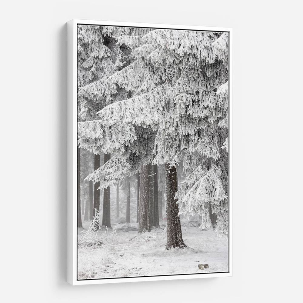 Winter Forest 2 Wall Art Winter Forest 2 Wall Art