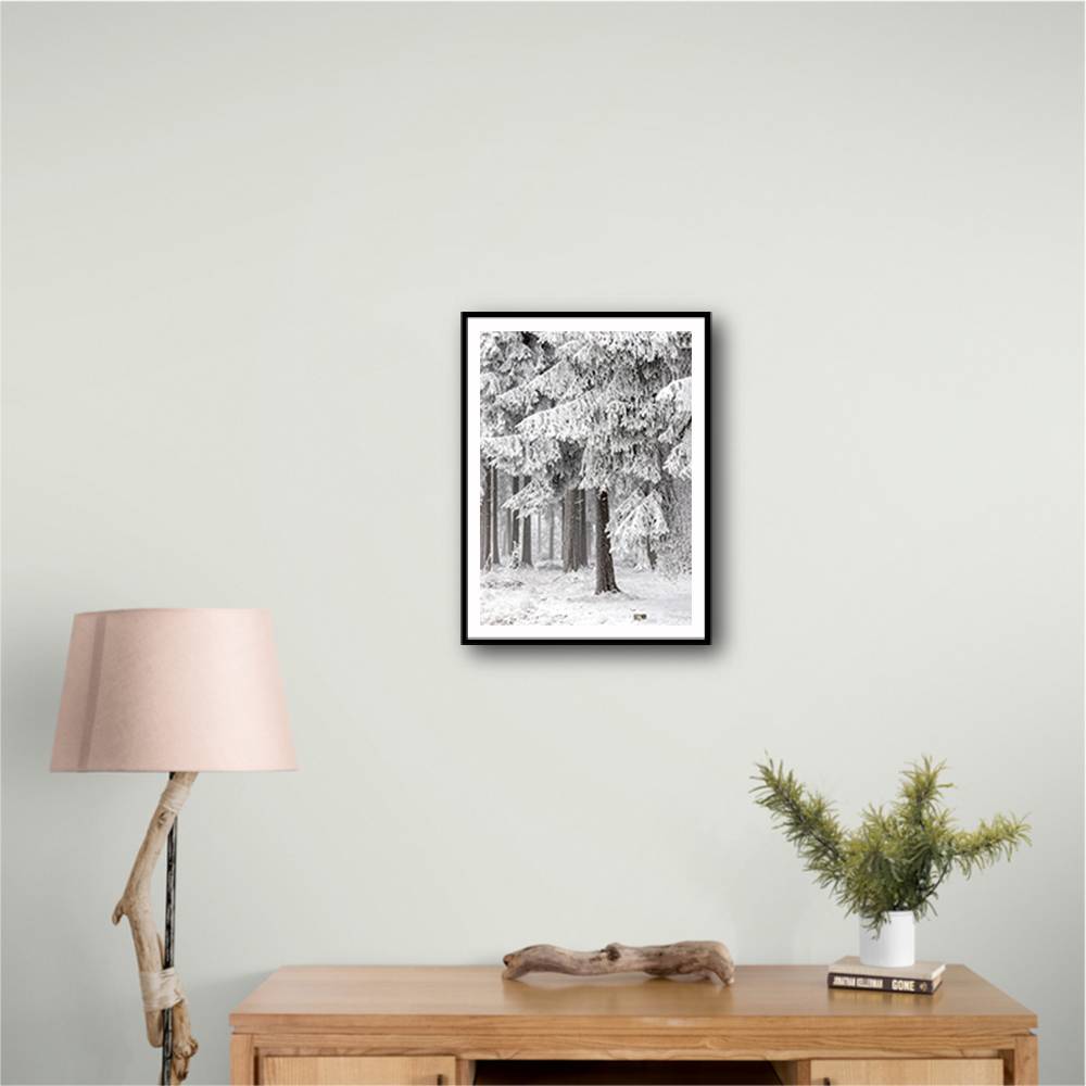 Winter Forest 2 Wall Art Winter Forest 2 Wall Art