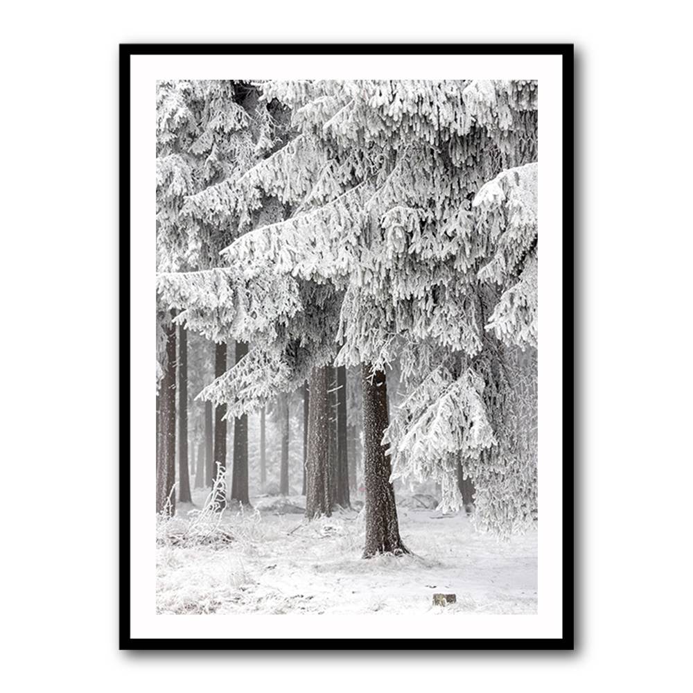 Winter Forest 2 Wall Art Winter Forest 2 Wall Art