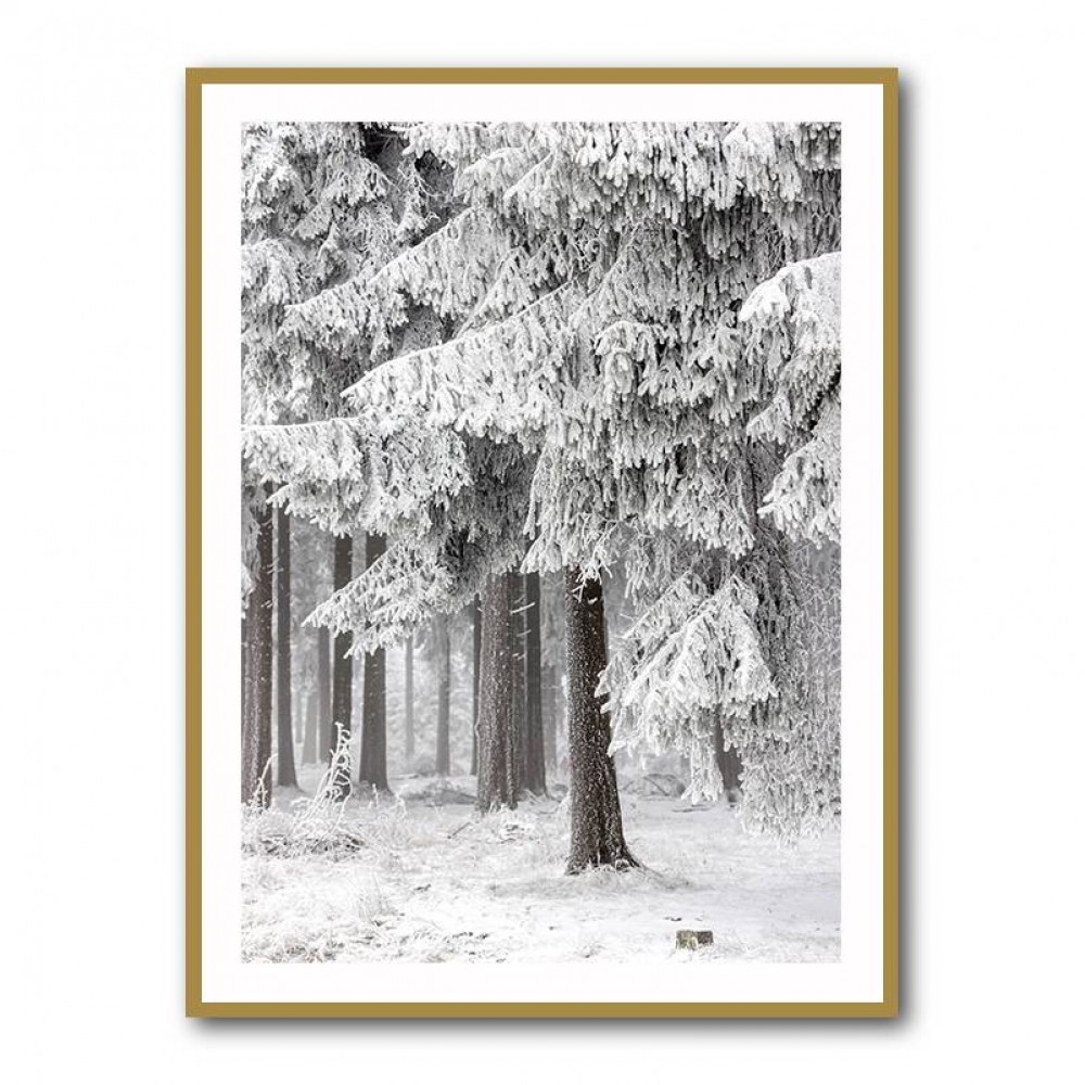 Winter Forest 2 Wall Art Winter Forest 2 Wall Art
