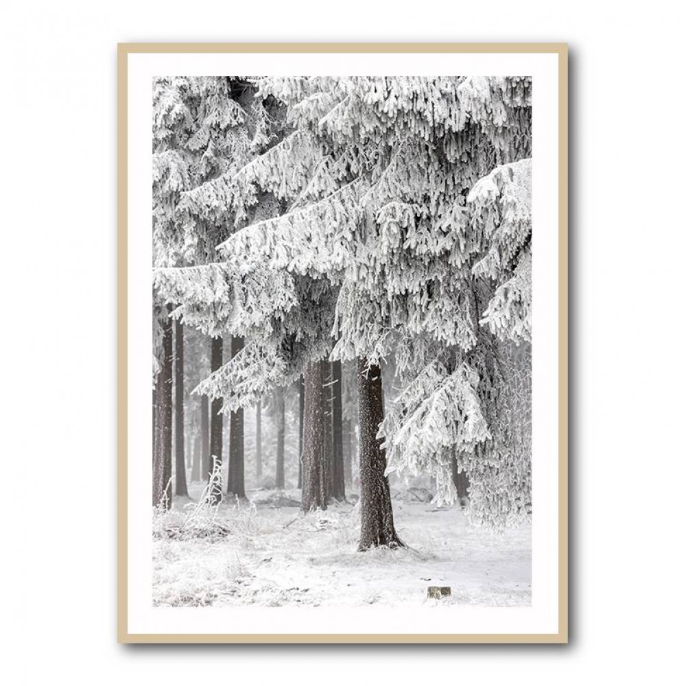 Winter Forest 2 Wall Art Winter Forest 2 Wall Art