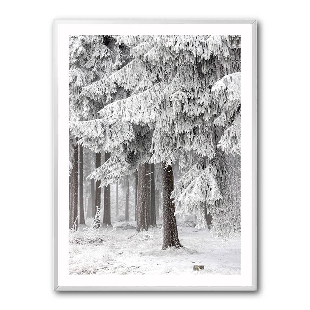 Winter Forest 2 Wall Art Winter Forest 2 Wall Art