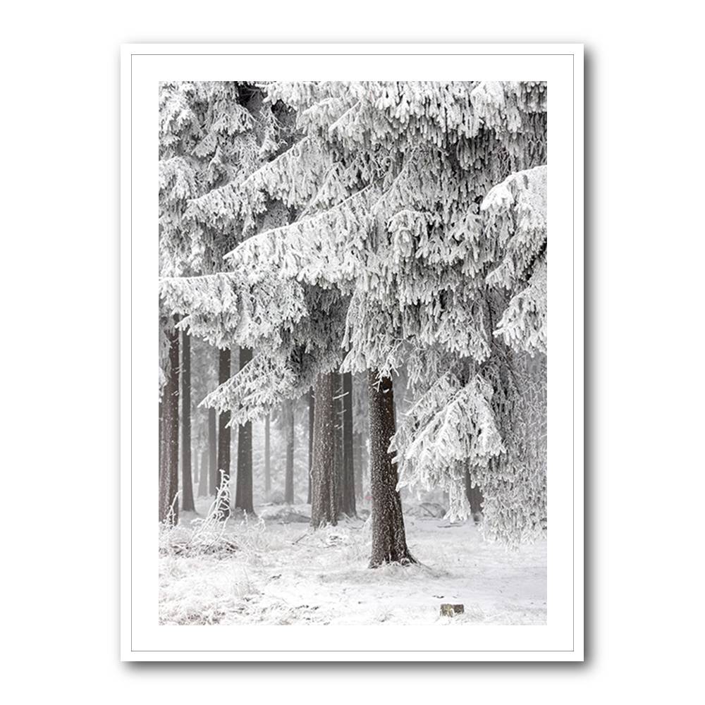Winter Forest 2 Wall Art Winter Forest 2 Wall Art