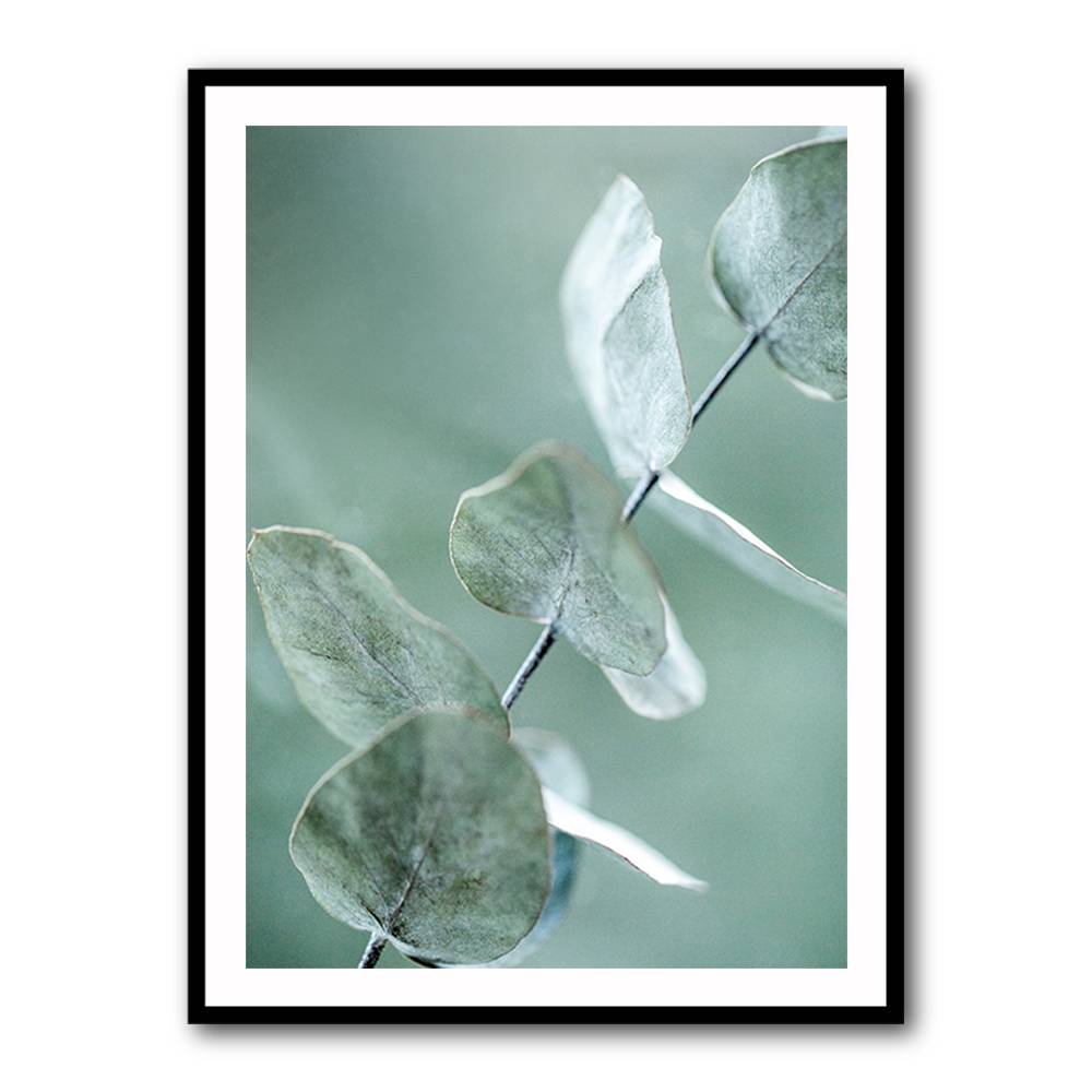Eucalyptus 9 Wall Art Eucalyptus 9 Wall Art