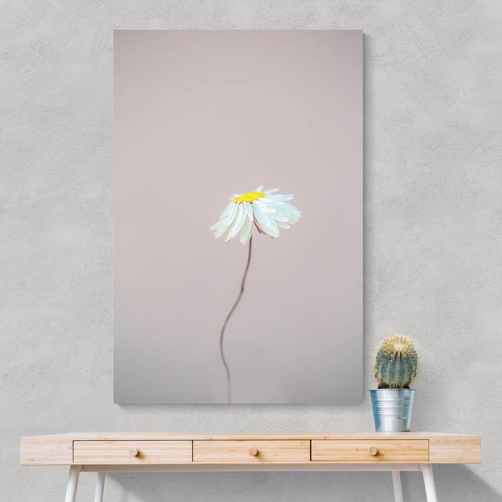 Fragile 1 Wall Art Fragile 1 Wall Art