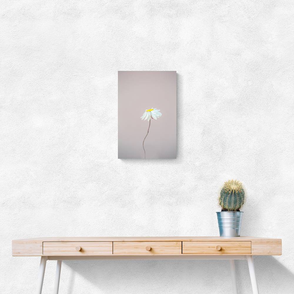 Fragile 1 Wall Art Fragile 1 Wall Art