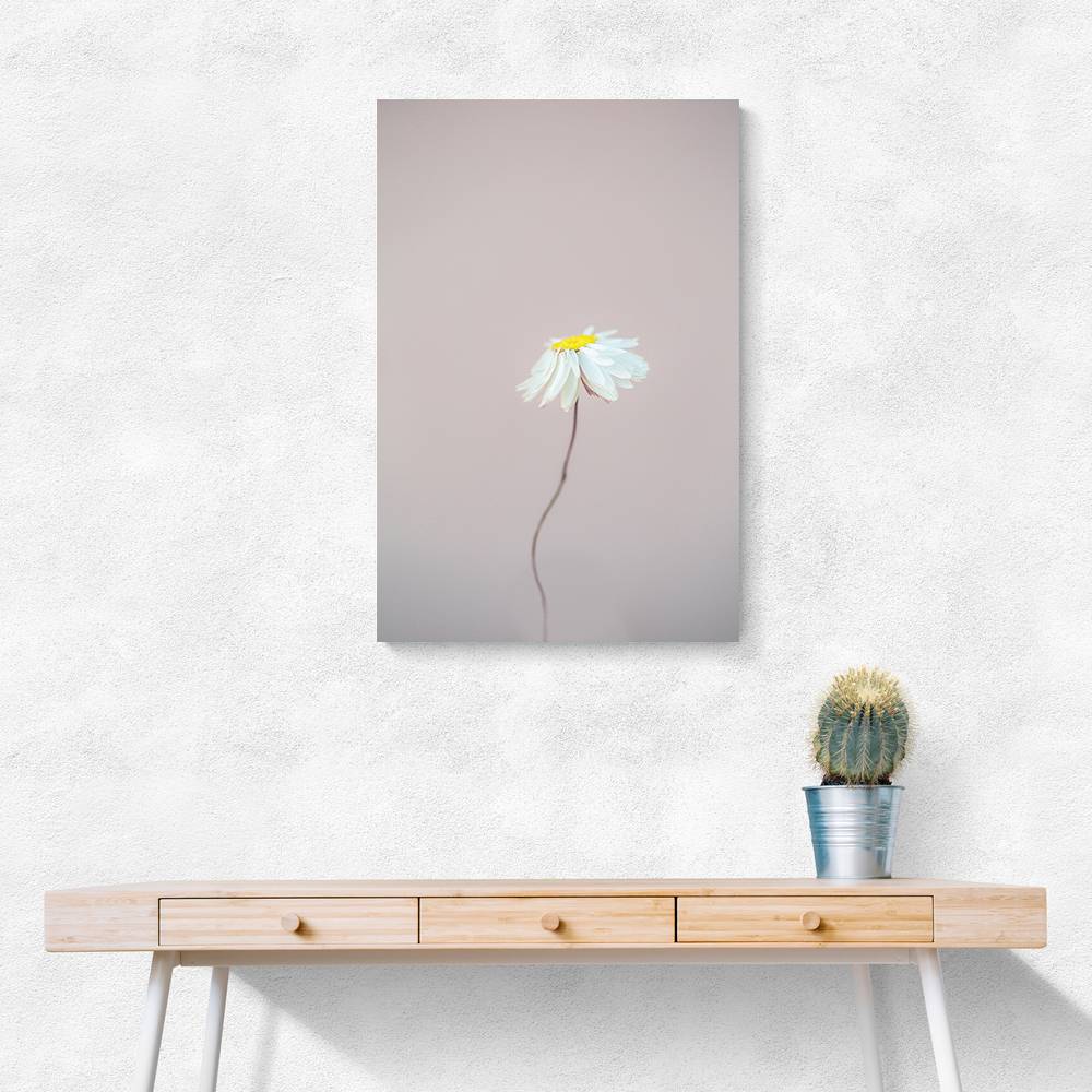 Fragile 1 Wall Art Fragile 1 Wall Art
