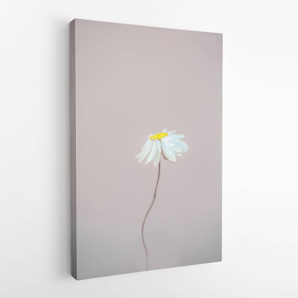 Fragile 1 Wall Art Fragile 1 Wall Art