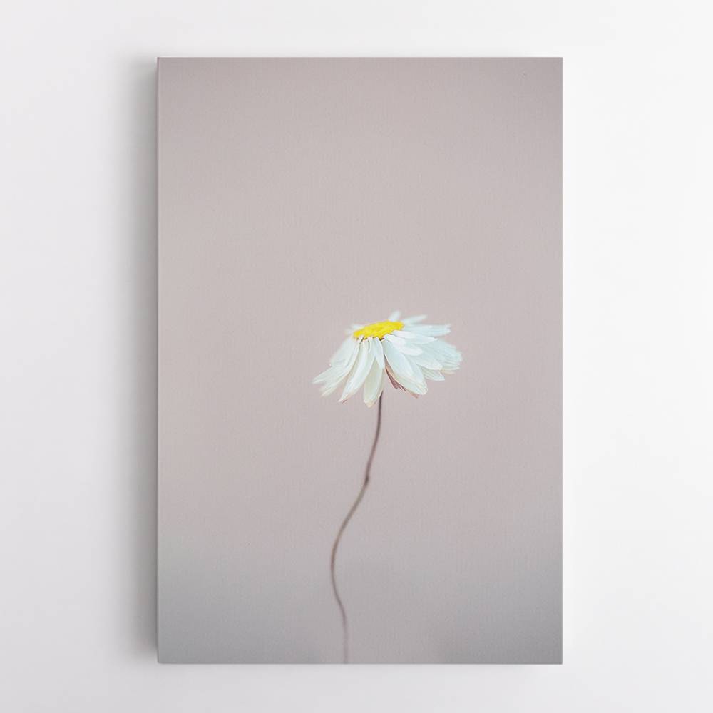Fragile 1 Wall Art Fragile 1 Wall Art