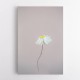 Fragile 1 Wall Art Fragile 1 Wall Art