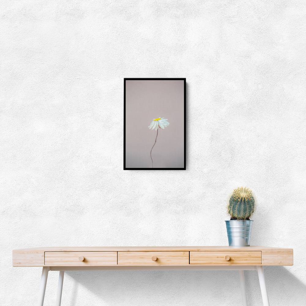 Fragile 1 Wall Art Fragile 1 Wall Art