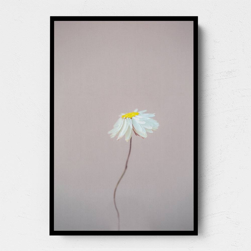 Fragile 1 Wall Art Fragile 1 Wall Art